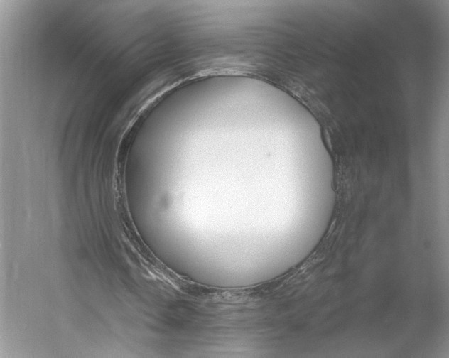 X0000053120338200508081257