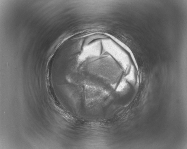 X0000053120339200508081257