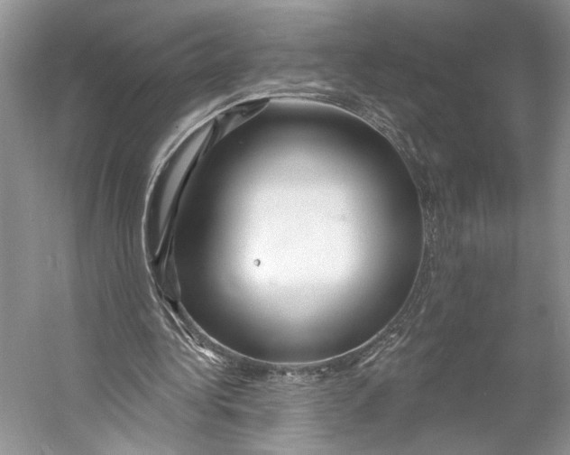 X0000053120340200508081257