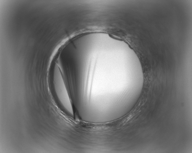 X0000053120342200508081257