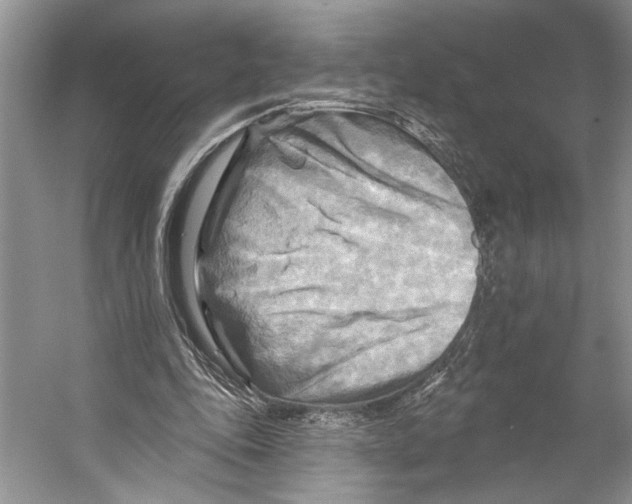 X0000053120343200508081257