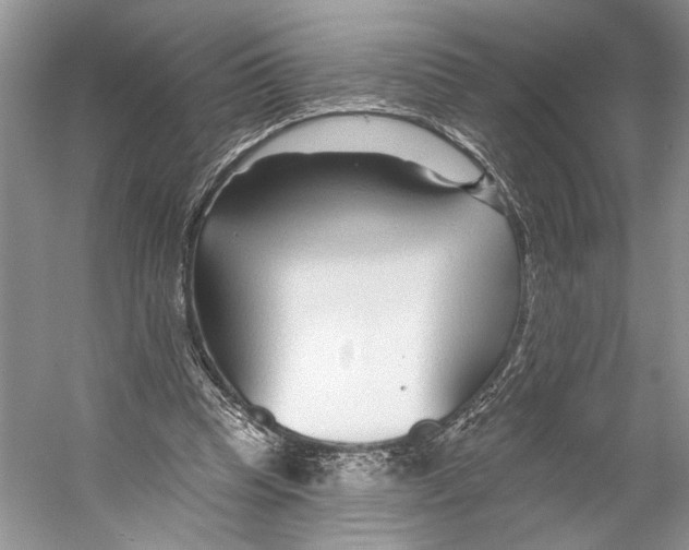 X0000053120345200508081257