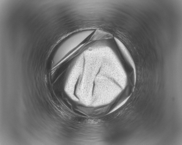 X0000053120346200508081257