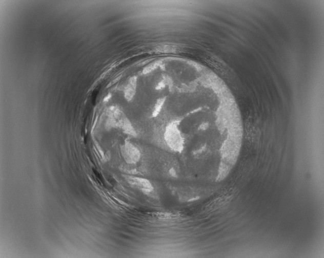 X0000053120347200508081257