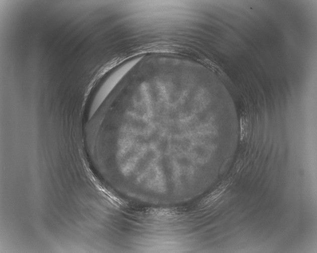 X0000053120349200508081257