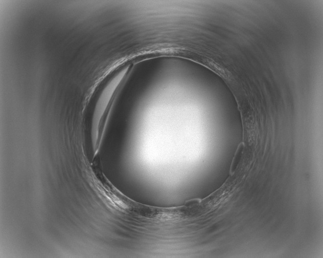 X0000053120350200508081257