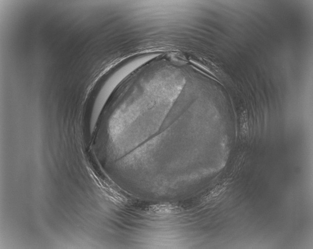 X0000053120351200508081257