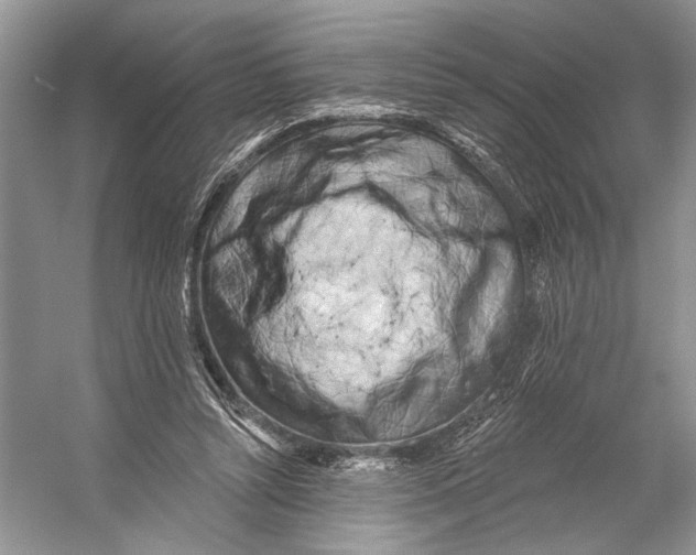 X0000053120352200508081257