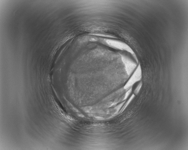 X0000053120353200508081257