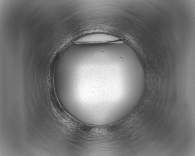 X0000053120354200508081257