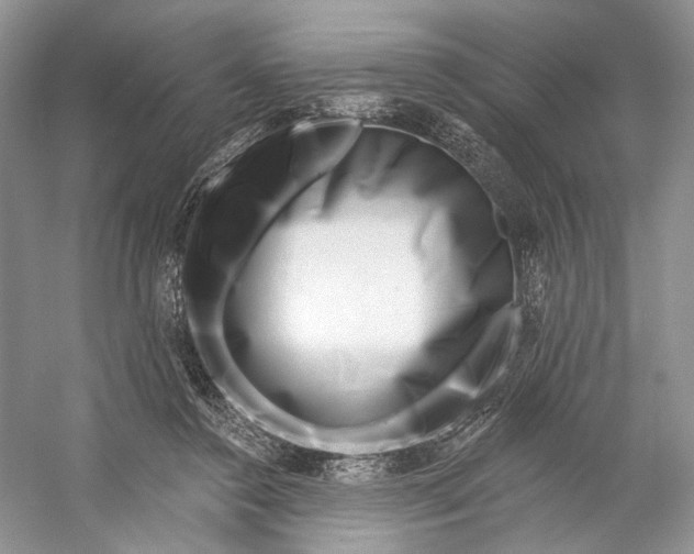 X0000053120356200508081257