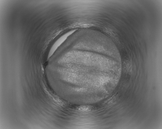 X0000053120358200508081258