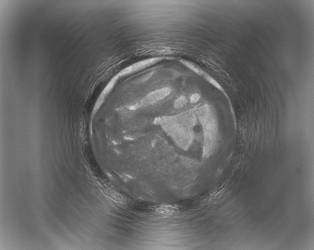 X0000053120359200508081258