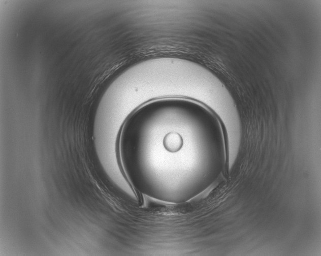 X0000053120360200508081258