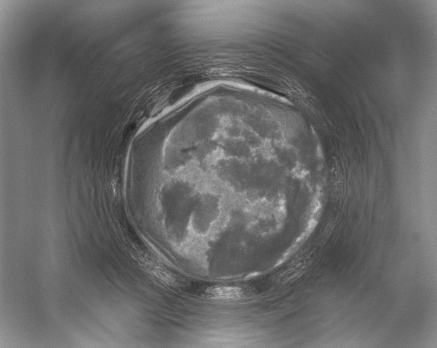 X0000053120361200508081258