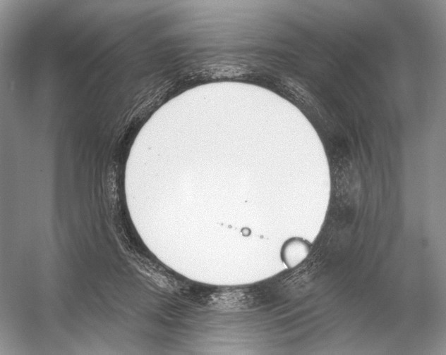 X0000053120362200508081258