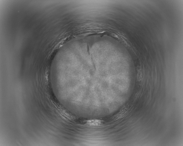 X0000053120363200508081258