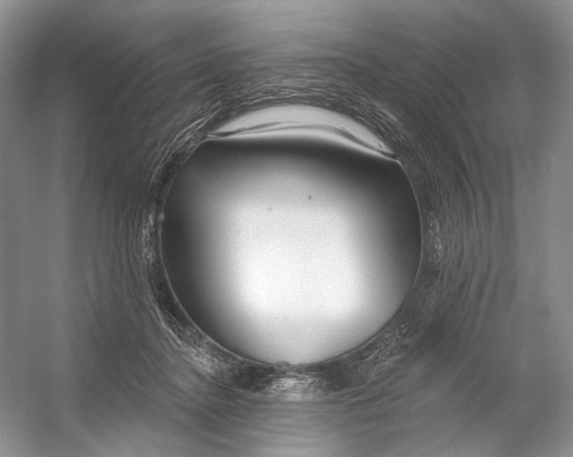 X0000053120364200508081258