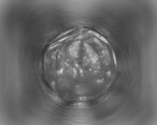 X0000053120365200508081258