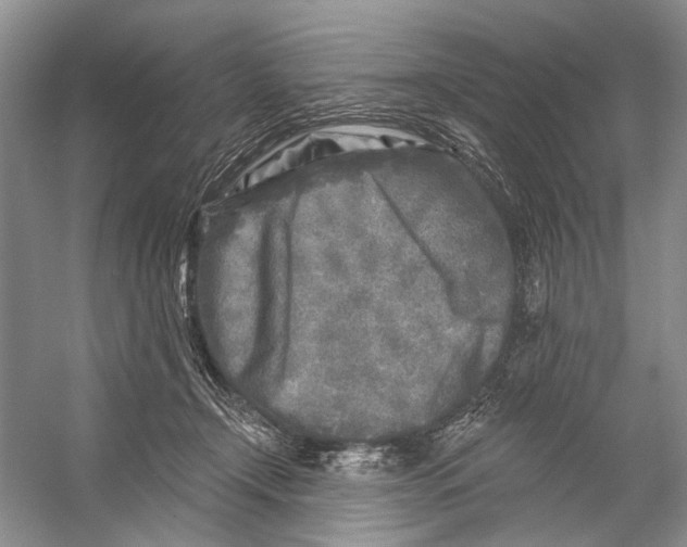 X0000053120366200508081258