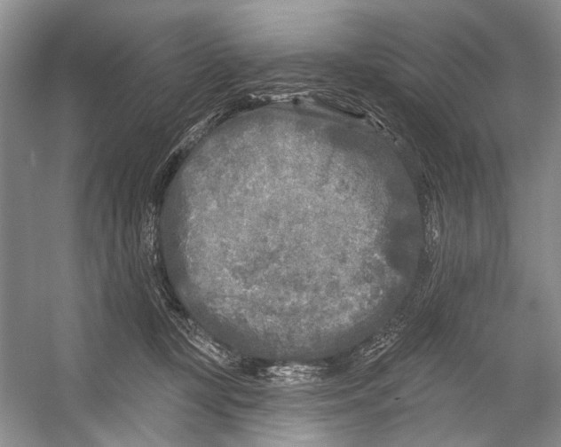 X0000053120367200508081258