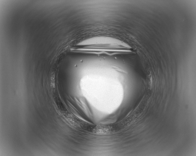 X0000053120368200508081258