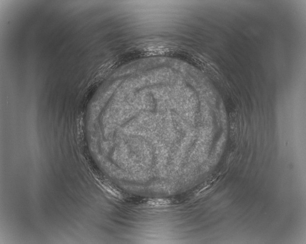 X0000053120369200508081258