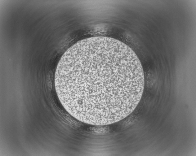 X0000053120370200508081258