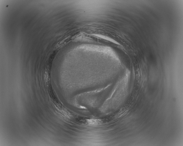 X0000053120371200508081258