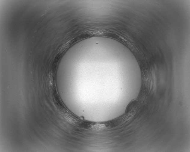 X0000053120374200508081258