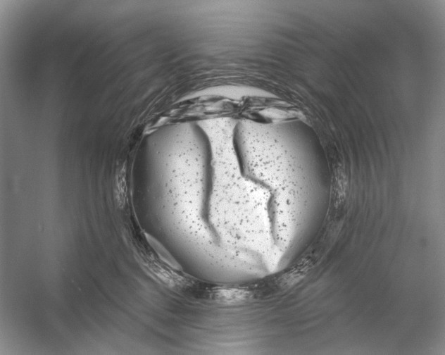 X0000053120376200508081258