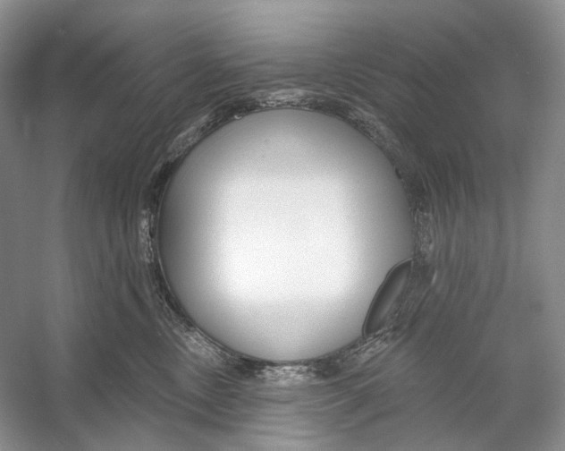 X0000053120378200508081258