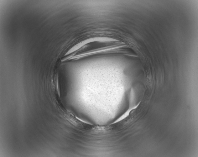 X0000053120381200508081258