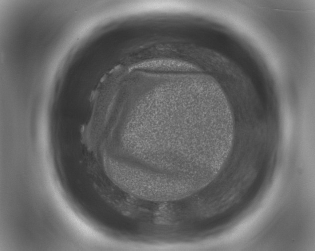 X0000053120382200508081258