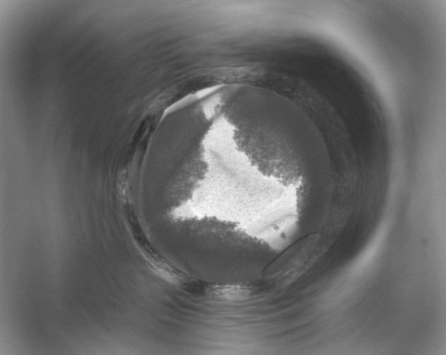 X0000053120383200508081258