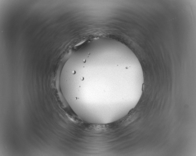 X0000053120384200508081258