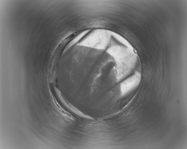 X0000053120386200508081257