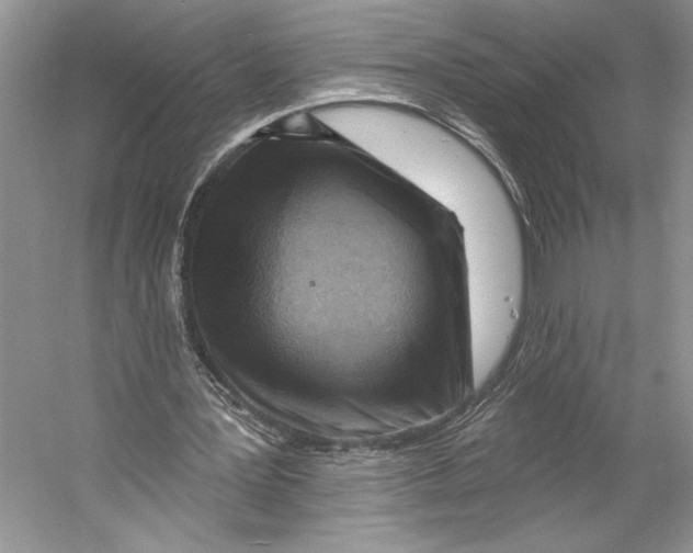 X0000053120387200508081257