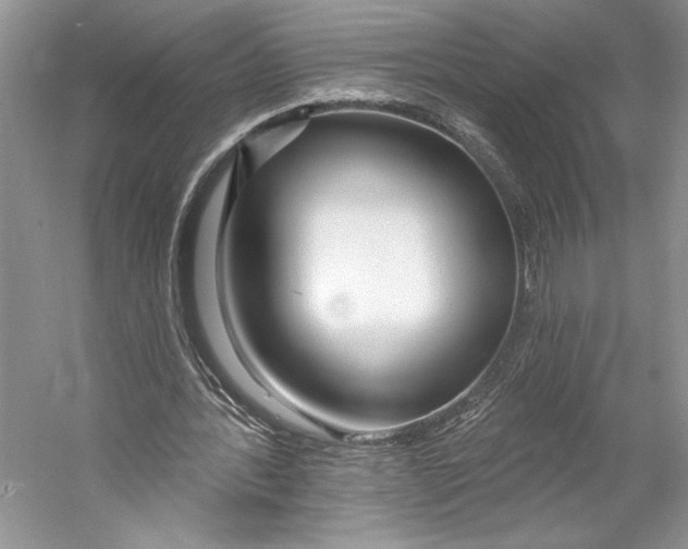 X0000053120388200508081257