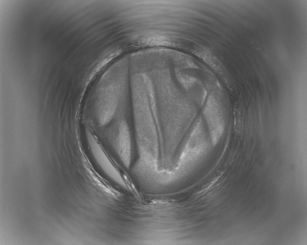 X0000053120390200508081257