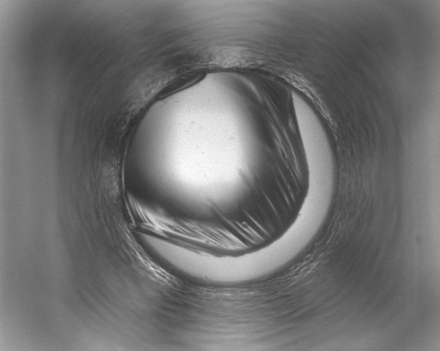 X0000053120393200508081257