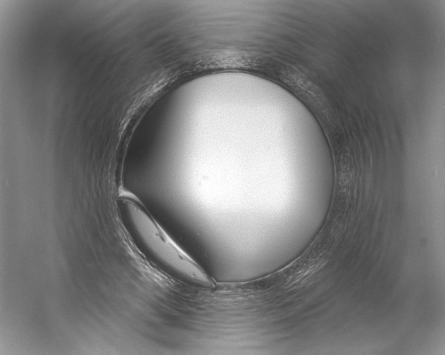 X0000053120394200508081257