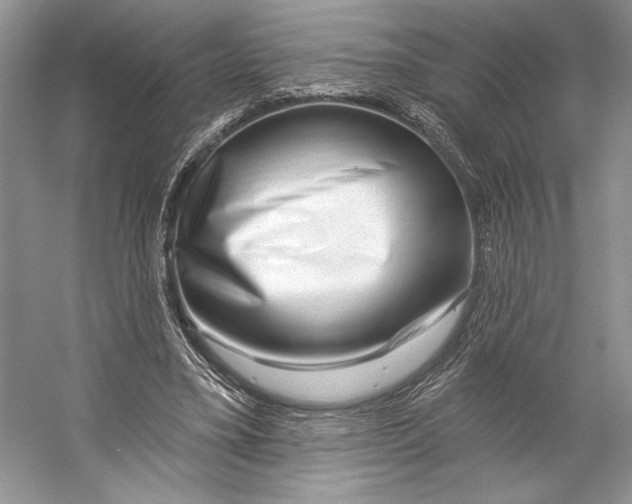 X0000053120395200508081257