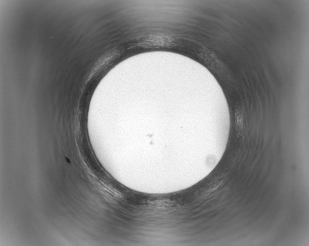 X0000053120396200508081257