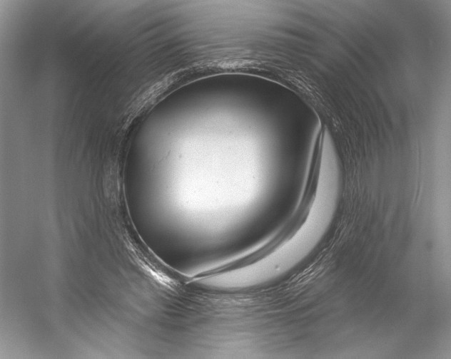 X0000053120397200508081257