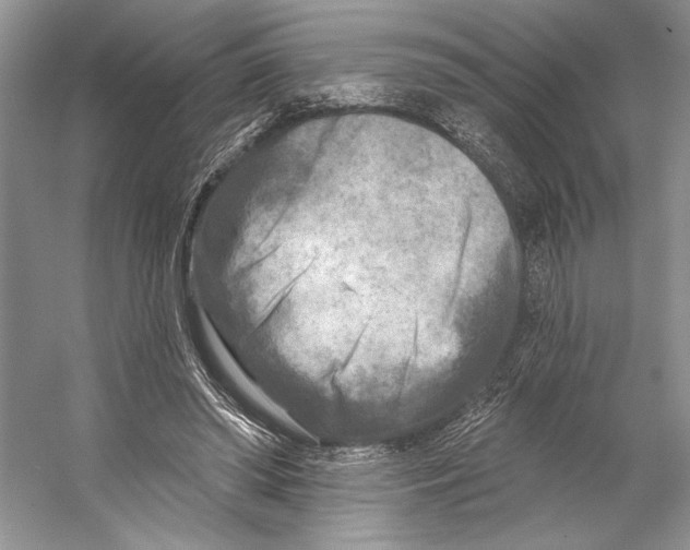 X0000053120398200508081257