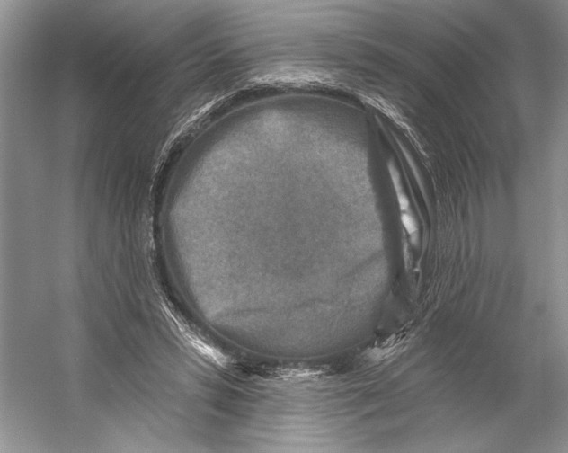 X0000053120399200508081257