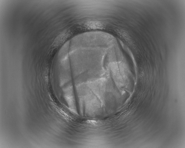 X0000053120402200508081257