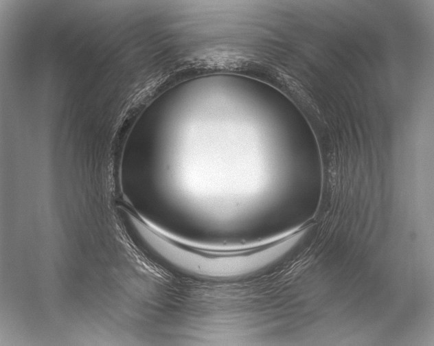 X0000053120403200508081257