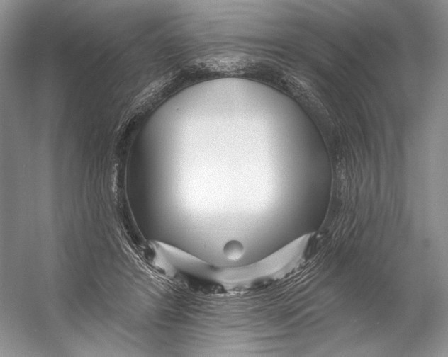 X0000053120404200508081257